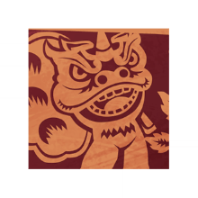 Big icon 0