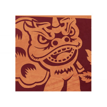 Big icon 0