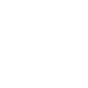 Ability Icon