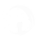 Ability Icon