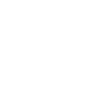 Ability Icon