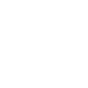 Ability Icon