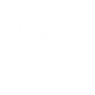Ability Icon