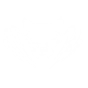 Ability Icon