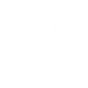 Ability Icon