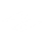 Ability Icon