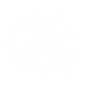 Ability Icon