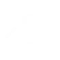 Ability Icon