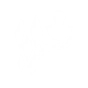 Ability Icon