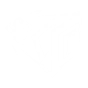 Ability Icon