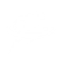 Ability Icon