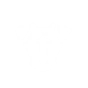 Ability Icon