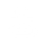 Ability Icon