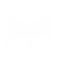 Ability Icon