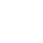 WALL RUNNER icon