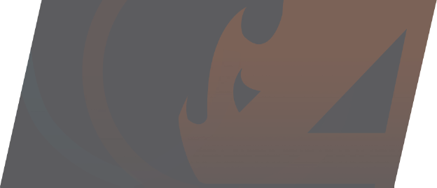 Bundle Image