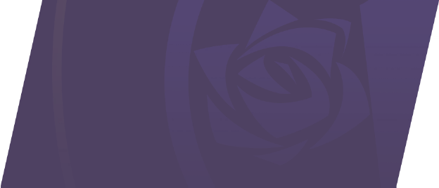 Bundle Image