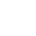 Theme Icon