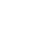 Theme Icon