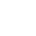 Theme Icon