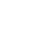 Theme Icon