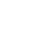 Theme Icon